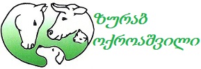 Logo Tamari Okroashvili